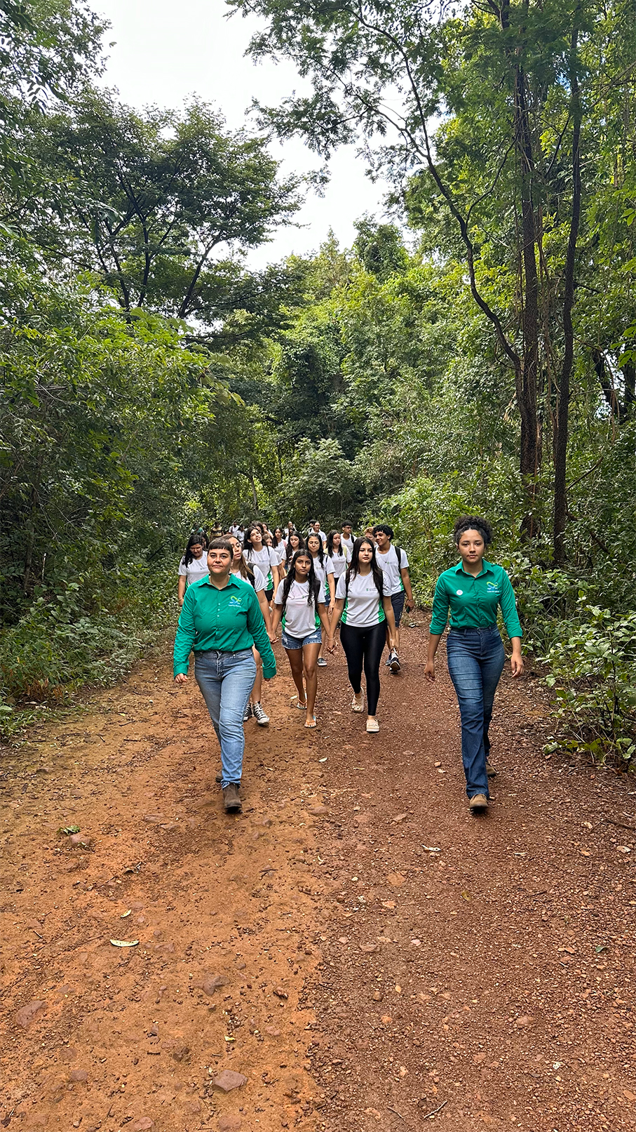 Mobilização