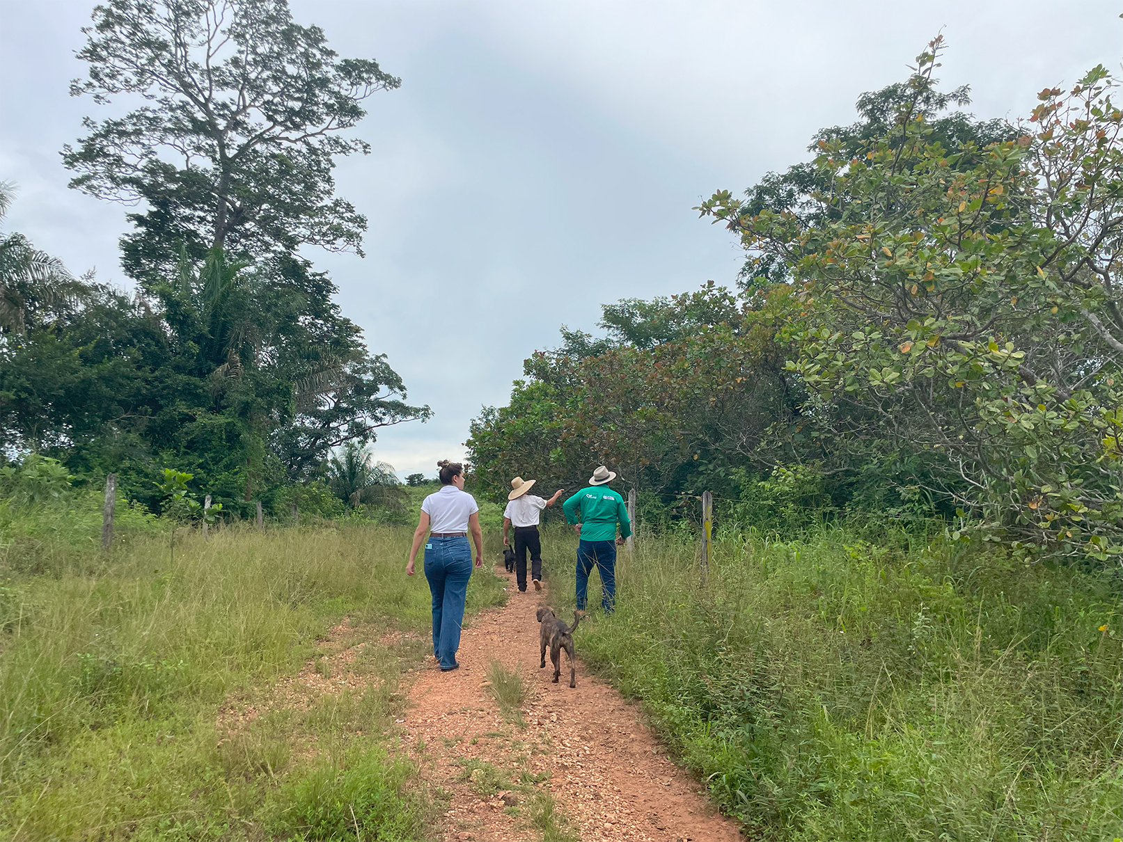 Mobilização