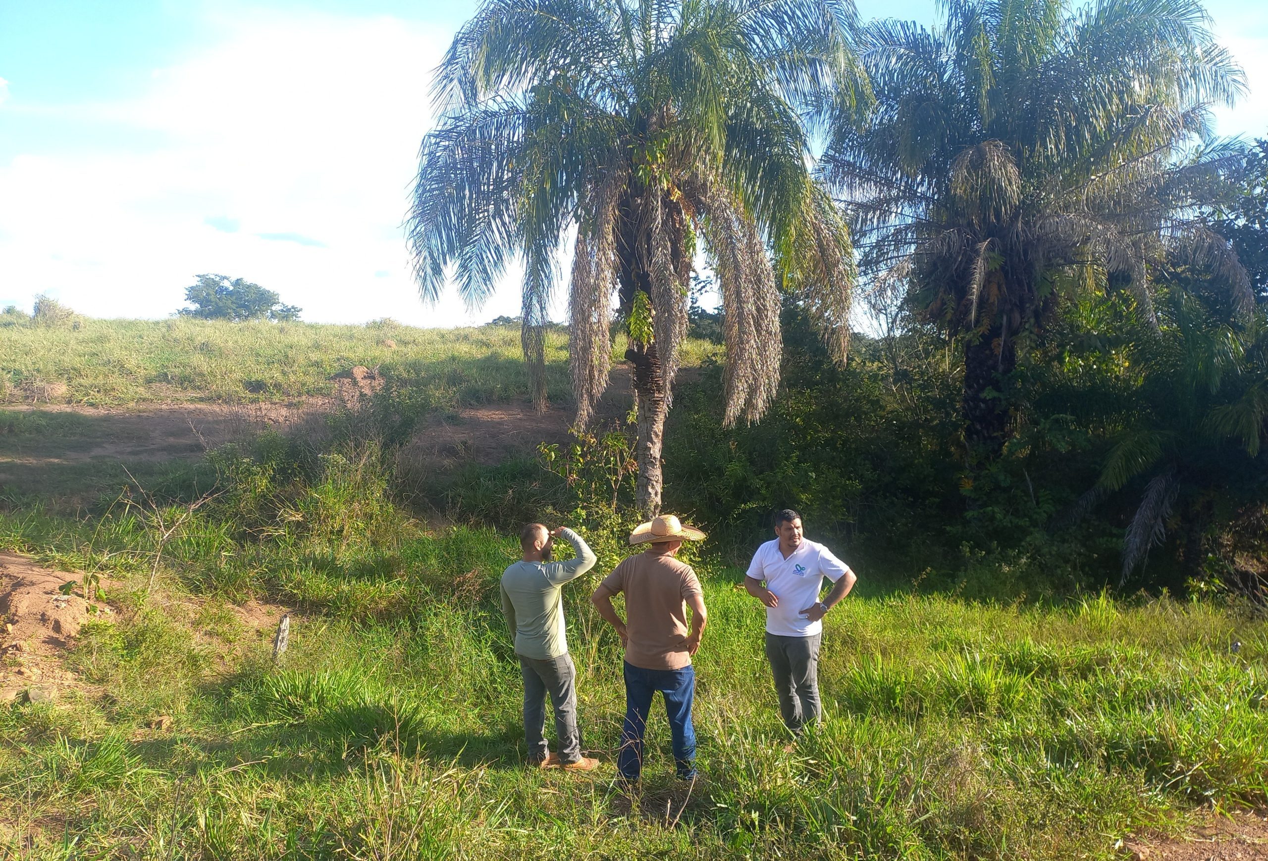 Mobilização