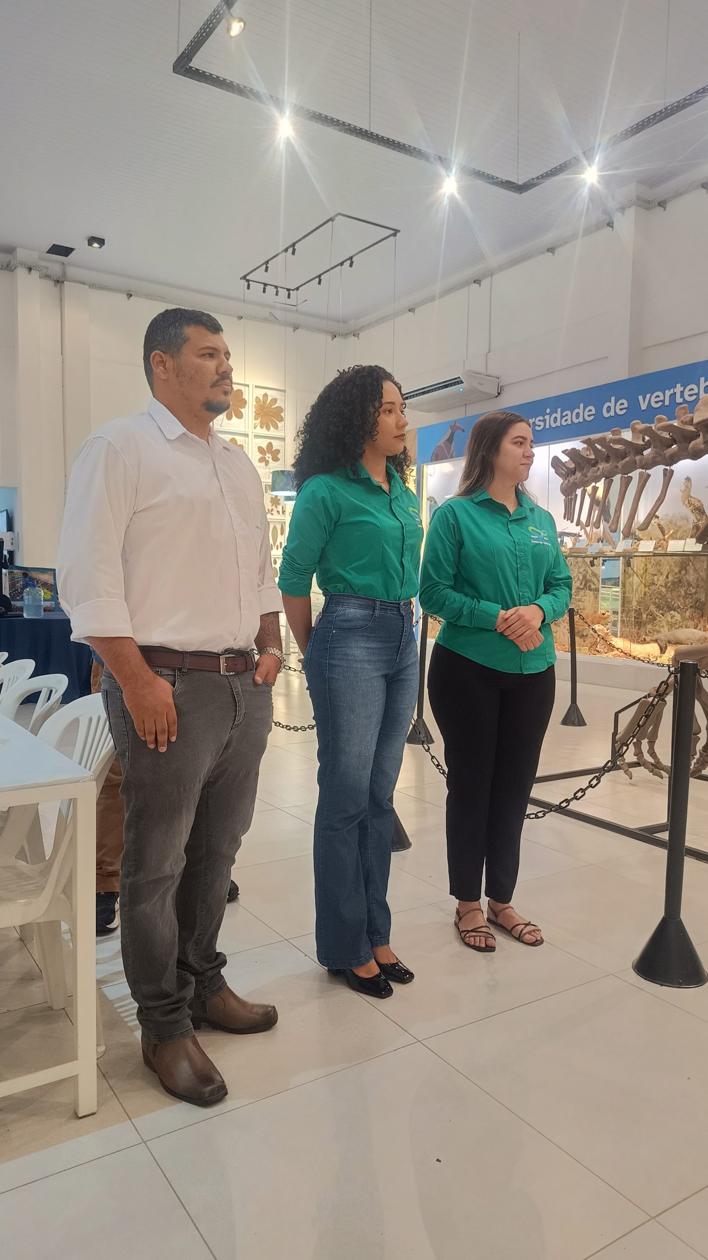 Mobilização