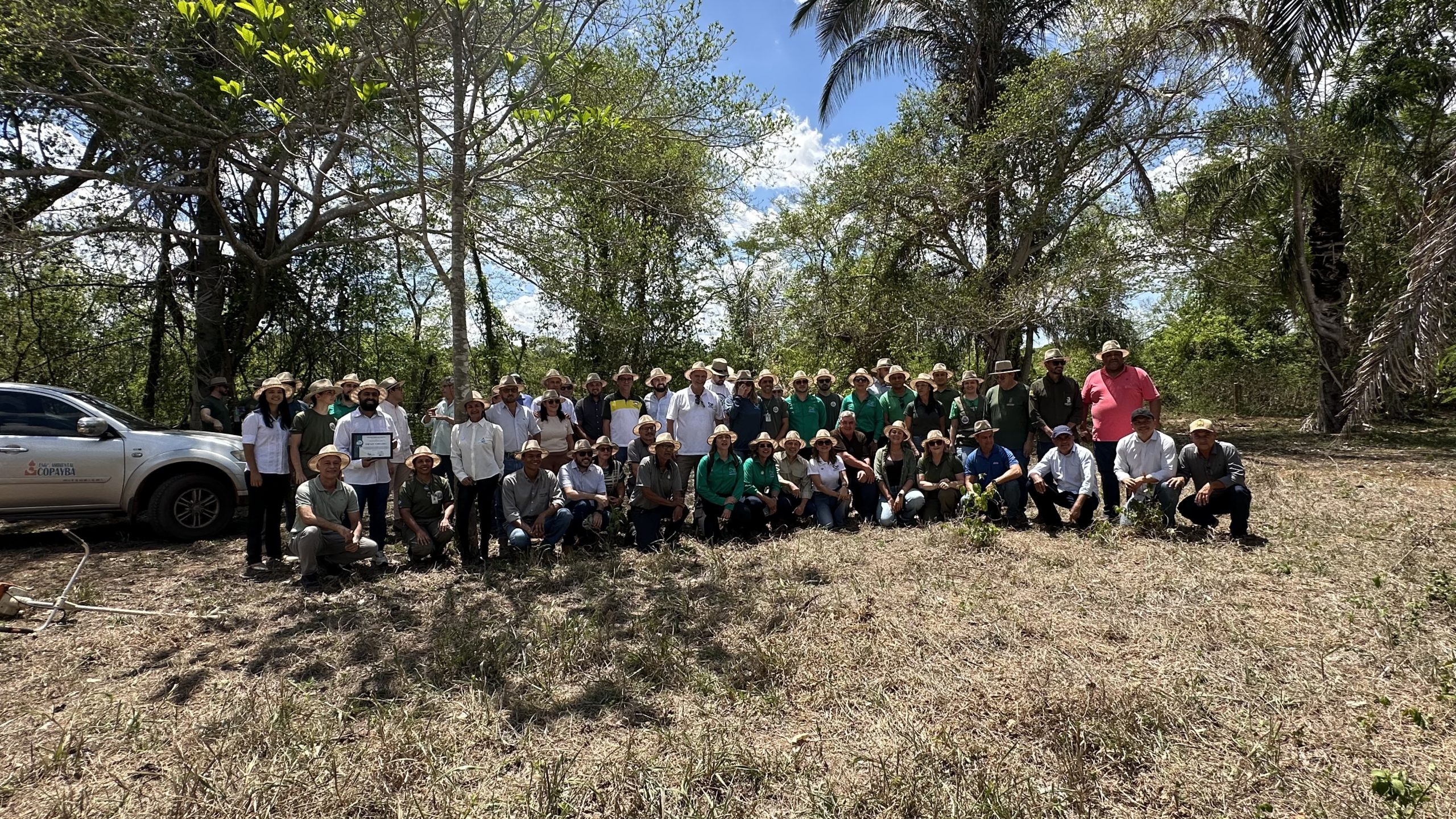 Plantio Inaugural lote 2