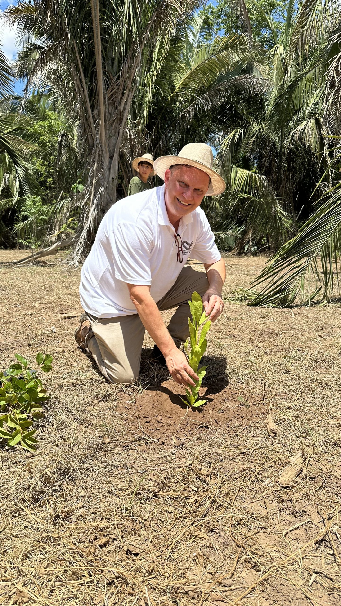 Plantio Inaugural lote 2